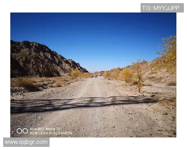 用最冷门的英雄挑战极限冲击最高段位的精彩旅程